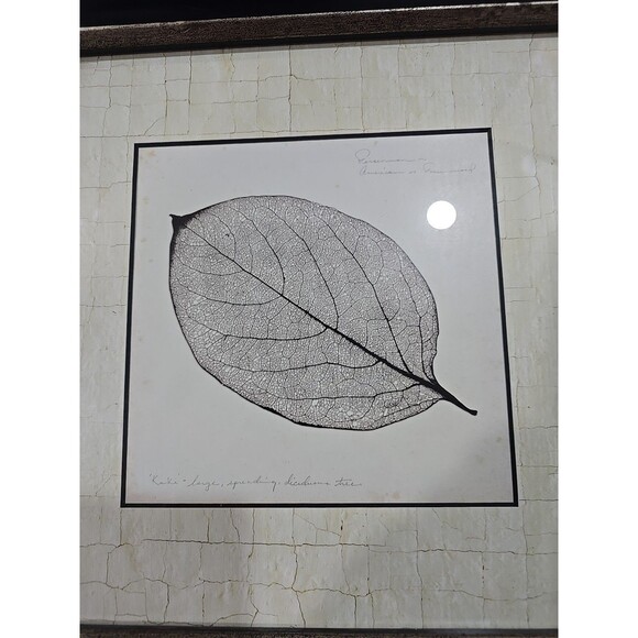 Persimmon Leaf Booker Morey Framed Art Print 13x13 SIGNED RARE - Picture 2 of 9